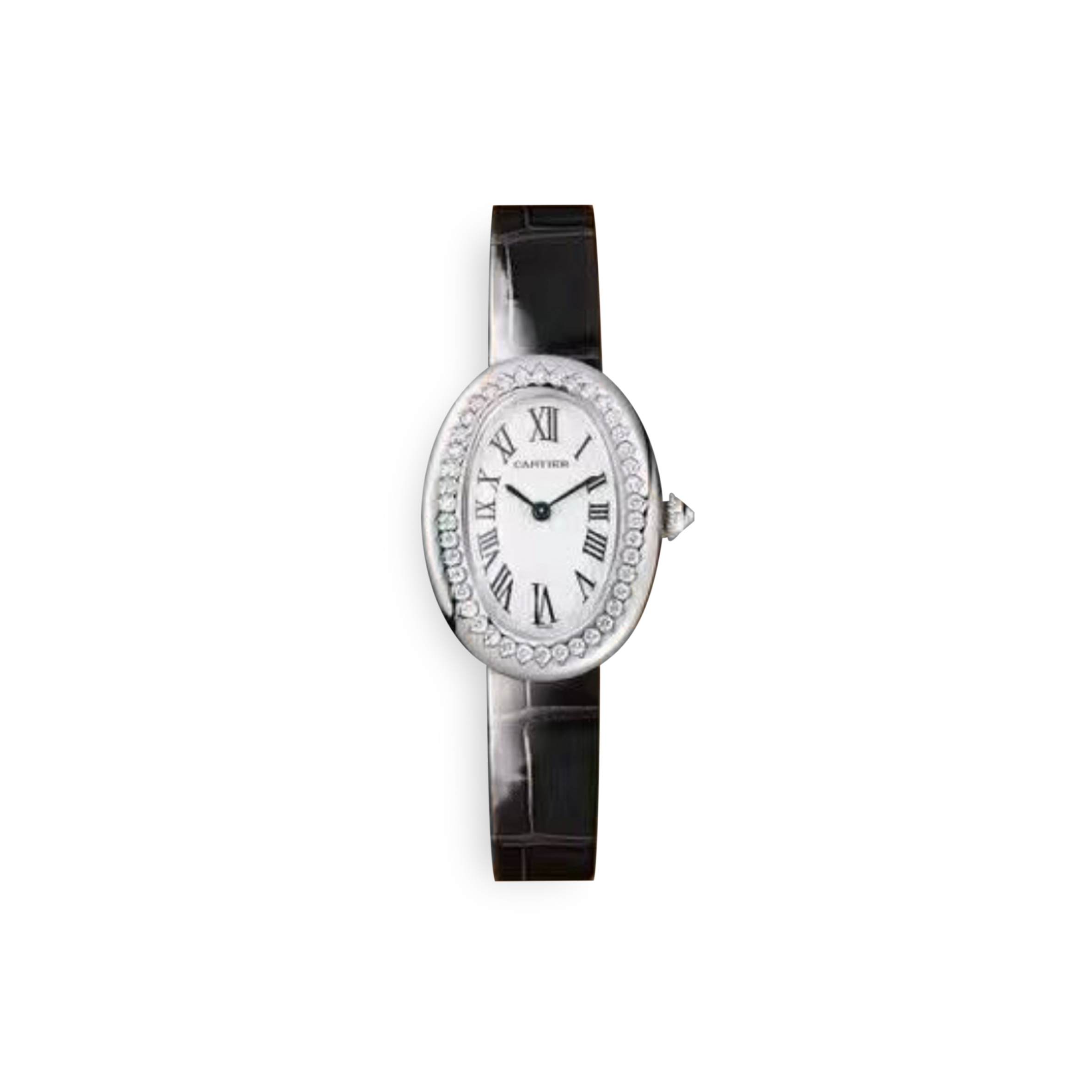 Ca*t*er baignoire watch c053v